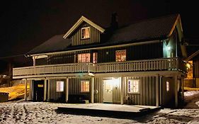 Hjemmekoselig leilighet i underetasje